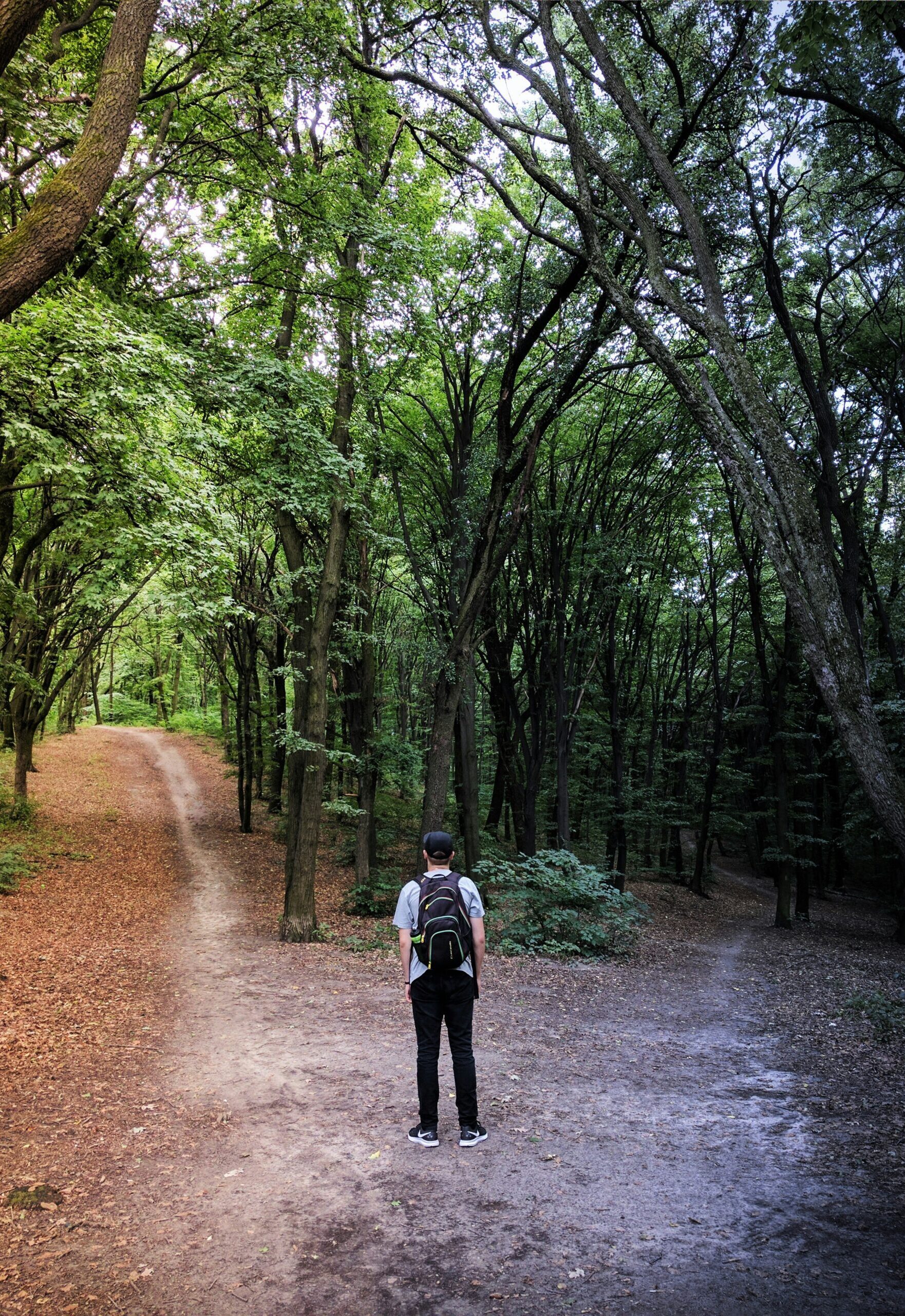 vladislav-babienko-KTpSVEcU0XU-unsplash vladislav-babienko-KTpSVEcU0XU-unsplash